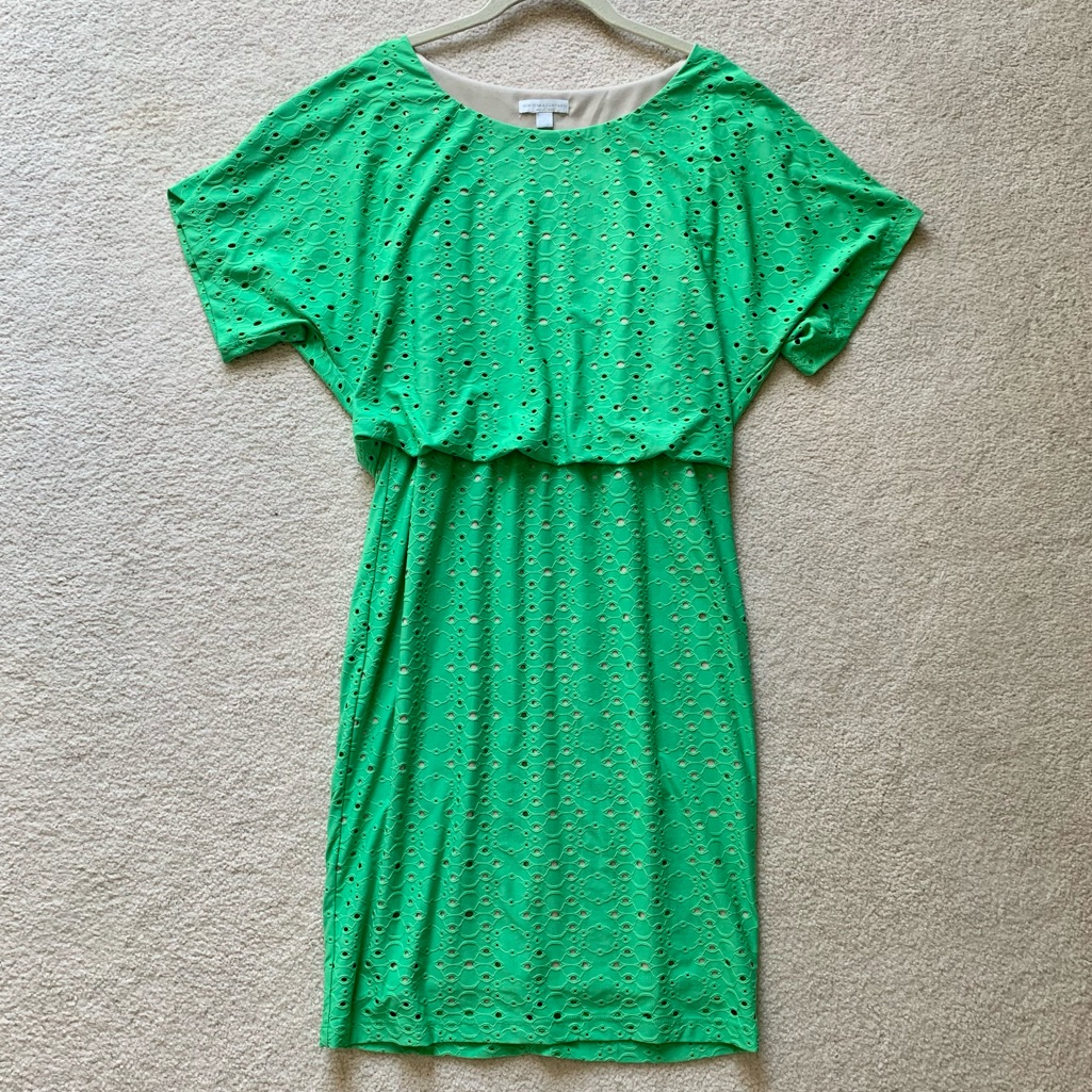 New York & Company Green Lace Dress